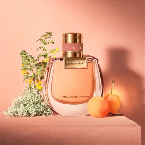 chloe nomade absolu de parfum|cheapest chloe nomade perfume.